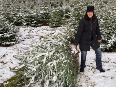 EVINTA_Weihnachtsfeier_Weihnachtsbaumschlagen_Frau mit abgeschlagenem Baum