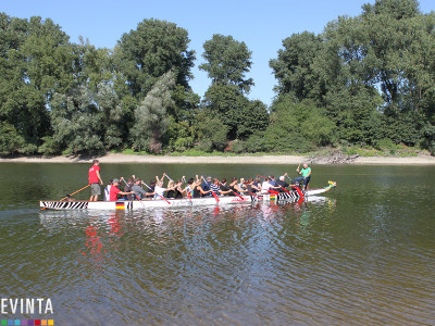 Drachenboot Teamevent