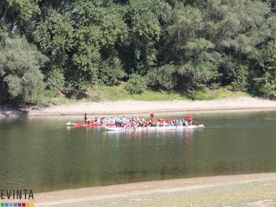 Drachenboot Teamevent
