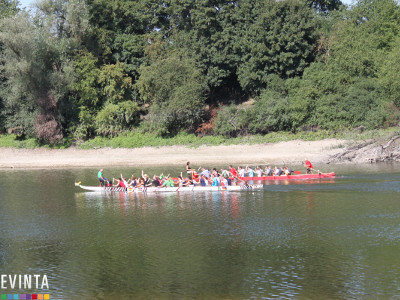 Drachenboot fahren