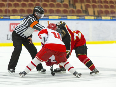 Eishockey Teamtraining