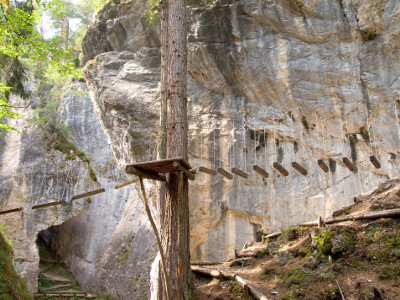 Kletterwald