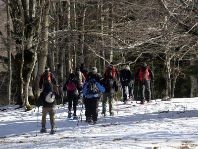 Schneeschuhwandern