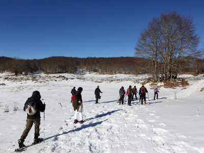 Schneeschuhwandern