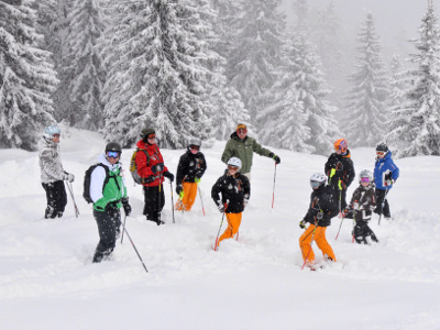 Skifahren