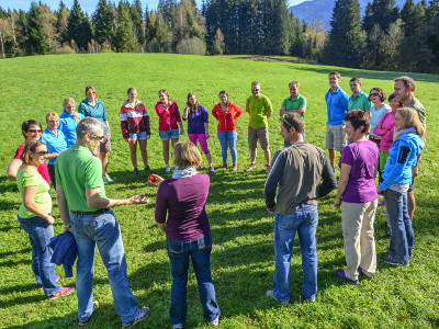 Teamentwicklung in 5 Stufen