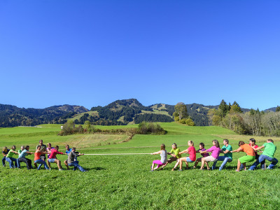 Tauziehen
