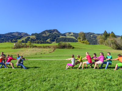 Tauziehen