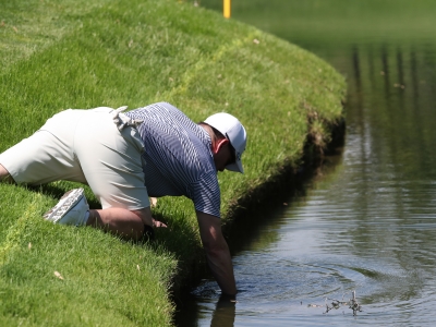 Cross Golf