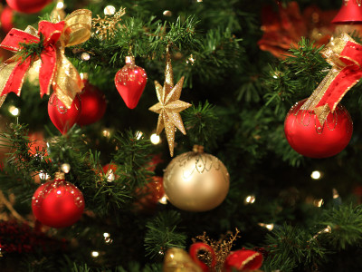 EVINTA_Weihnachtsfeier_Weihnachtsfeier in der Firma_Detail Weihnachtsbaum