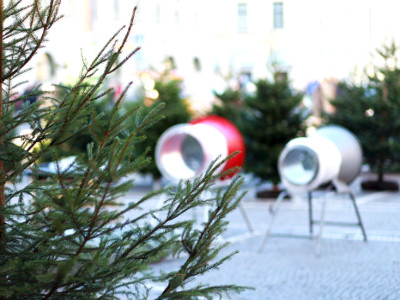 Weihnachtsbaumschlagen