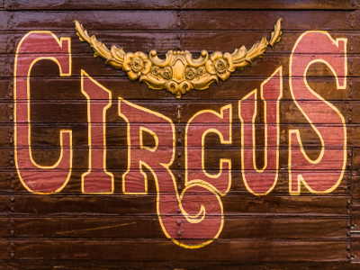 Zirkus Teamevent