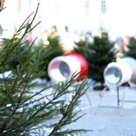 Weihnachtsbaum Markt