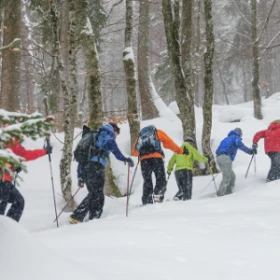 Gruppe beim Schneeschuhwandern durch den Wald auf einem Weg hintereinander