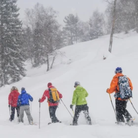 Schneeschuhwanderung, Gruppe läuft in einer Reihe hintereinander