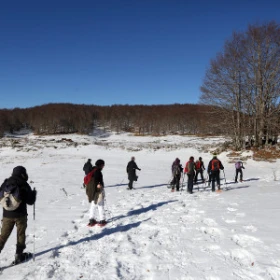 Gruppe beim Schneeschuhwandern im Schnee