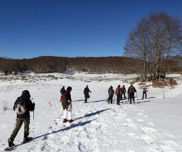 Gruppe beim Schneeschuhwandern im Schnee