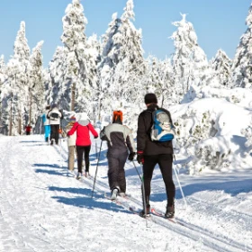 Langläufer in einer Langlaufspur, laufen durch einen verschneiten Winterwald