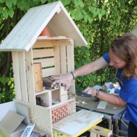 ein Insektenhotel wird gefüllt
