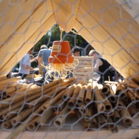 Blick durch das Dach eines Insektenhotels