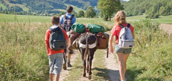 Wanderung mit bepacktem Esel