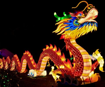 Chinesischer Drachen beleuchtet bei Nacht