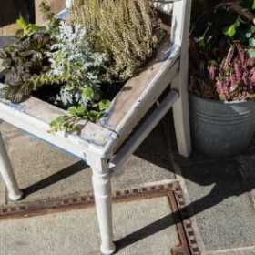 ein alter Stuhl, der auf der Sitzfläche bepflanzt wurde