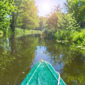 Kanu fahren durch einen Wald