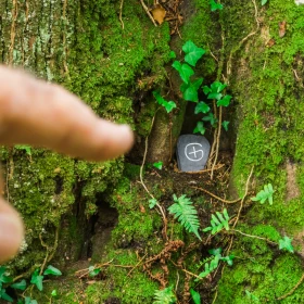 Hinweis für Geocaching wurde in einem Spalt im Baum versteckt