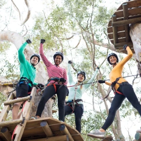 Vier Personen im Kletterwald schauen nach unten und jubeln in die Kamera