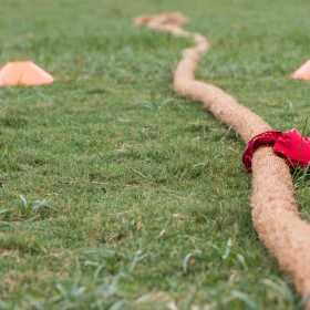 Tau liegt auf dem Boden