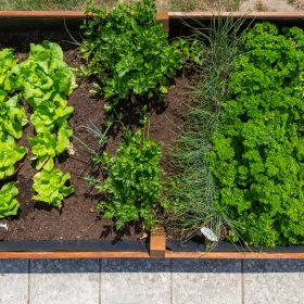 Ansicht von oben auf ein bepflanztes Hochbeet