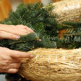 Tannenzapfen werden auf einen Adventskranz Rohling gebunden
