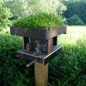 Nistkasten, Futterstation für Vögel mit Moos bewachsen