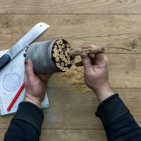 Person steckt Hölzer in eine Dose