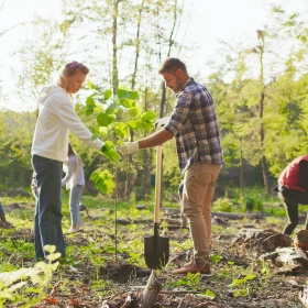 Zwei Männer pflanzen einen Baum