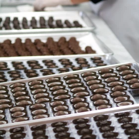 verschiedene Pralinen in einer Auslage