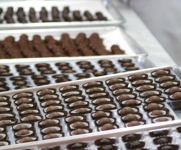 verschiedene Pralinen in einer Auslage