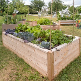 selbst gebautes Hochbeet was bepflanzt ist