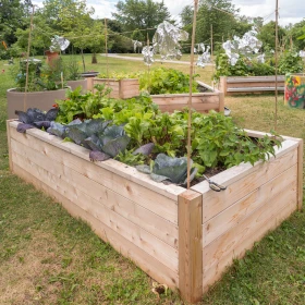 selbst gebautes Hochbeet was bepflanzt ist