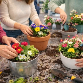Schalen werden bepflanzt bei einem Workshop in einem Büro