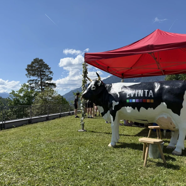 Kuh vor rotem Pavillon