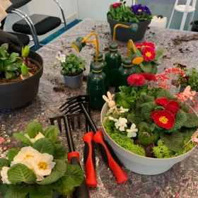 EVINTA_Floristikworkshop_Bild 02 Auf dem Bild ist eine kreative Pflanz- und Bastelszene zu sehen. Auf einem mit Folie abgedeckten Tisch stehen verschiedene Blumentöpfe und Schalen, die mit farbenfrohen Frühlingsblumen bepflanzt sind. Zu erkennen sind unter anderem Primeln in Weiß, Rot, Rosa und Violett, kleine Gänseblümchen (Bellis) sowie Hyazinthenzwiebeln. Dazwischen liegen kleine Handharken mit roten und schwarzen Griffen, mehrere grüne Gießkannen mit gelbem Ausguss sowie lose Blumenerde. Die Anordnung deutet darauf hin, dass hier gerade gemeinsam gepflanzt oder ein Frühlingsgesteck gestaltet wird, vermutlich im Rahmen eines Workshops oder Teamevents.