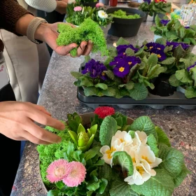 Das Bild zeigt eine fröhliche Pflanzaktion an einem großen Tisch, an dem mehrere Personen gemeinsam Frühlingsarrangements gestalten. Im Vordergrund wird eine flache Pflanzschale mit frischen Blumen und Zwiebelpflanzen dekoriert. Zu sehen sind weiße Primeln, rosafarbene Gänseblümchen (Bellis), eine Hyazinthenknospe sowie leuchtend grünes Dekomaterial, das gerade von einer Person in die Schale gelegt wird. Weitere Teilnehmerinnen und Teilnehmer arbeiten im Hintergrund an ähnlichen Gestecken, die farbenfrohe Blüten in Rosa, Rot, Weiß und Violett enthalten. Die Szene wirkt lebendig und gesellig, typisch für einen kreativen Workshop oder ein gemeinsames Teamevent.
