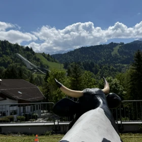 EVINTA_Bauernturnier_Bild05 Kuh mit Assblick