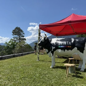 Kuh vor einem roten Pavillion