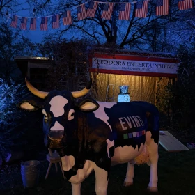 Kuh zum Melken unter amerikanischer Wimpelkette